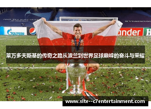 莱万多夫斯基的传奇之路从波兰到世界足球巅峰的奋斗与荣耀 莱万多夫斯基的传奇之路从波兰到世界足球巅峰的奋斗与荣耀