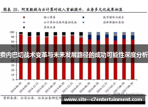 费内巴切战术变革与未来发展路径的成功可能性深度分析