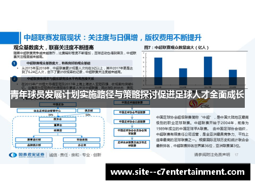 青年球员发展计划实施路径与策略探讨促进足球人才全面成长